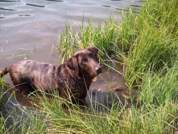 /Images/uploads/Humane Society of Utah/HSUCalendar/entries/680thumb.jpg